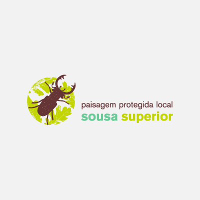 Sousa-SuperiorB Home